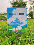 Kabala Ego - Báo Cáo Tính Cách (bản in - bìa cứng)