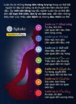 Thần Số Kabala: Luận Giải Cuộc Đời (+AI)