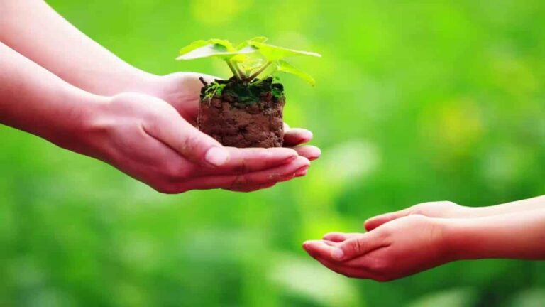 Bộ Quy Tắc Đạo Đức Dành Cho Người Thực Hành Luận Giải Hệ Thống Tính Cách